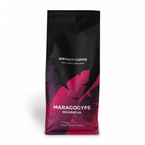 Sortenreine Kaffeebohnen „Nicaragua Maragogype“, 1 kg