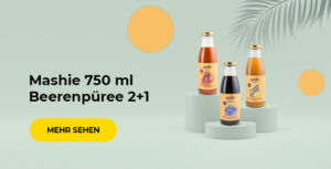 Mashie 750 ml Beerenpüree 2+1